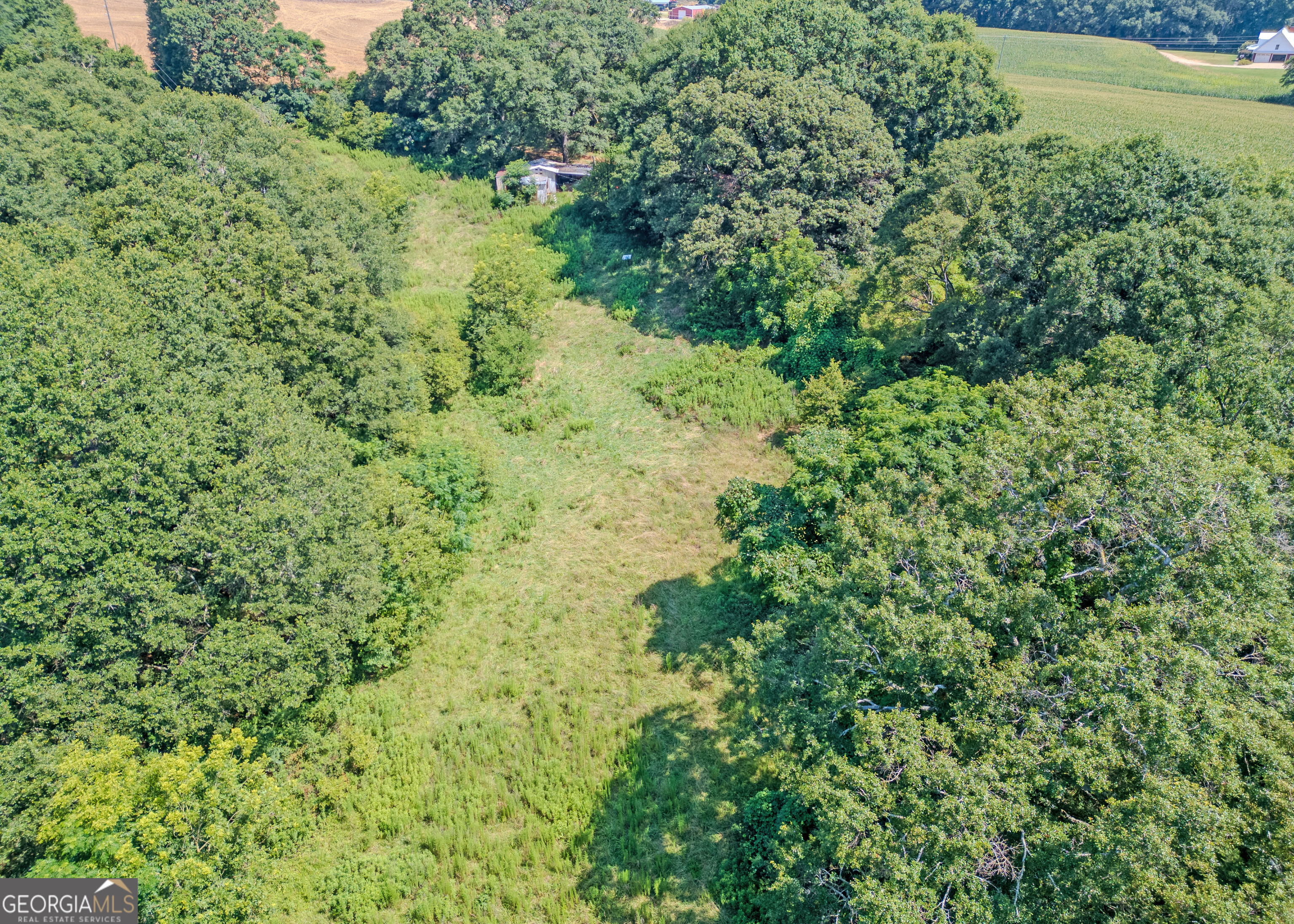 1683 Dove Drake RD