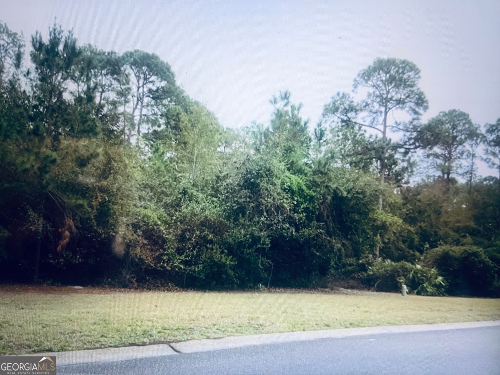 Photo of 0 Whispering Oaks Lane, Saint Marys, GA 31558 (MLS # 10722008)
