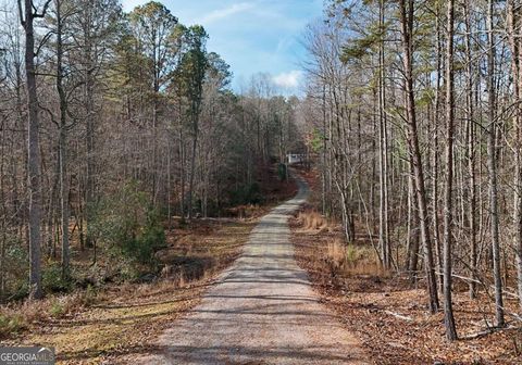 Photo of 232 Possum Trot Road, Blairsville, GA 30512 (MLS # 10649346)