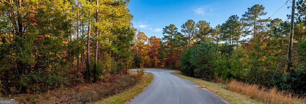 Photo of 00 Skyline Drive, Fortson, GA 31808 (MLS # 10723344)