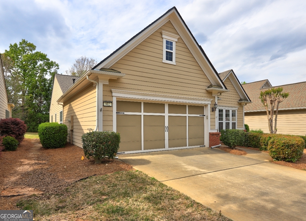 802 Dusky Sap CT