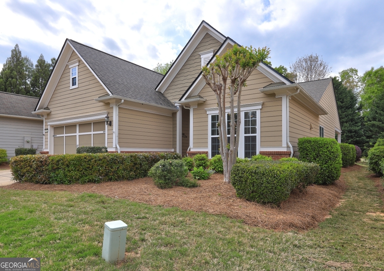 802 Dusky Sap CT