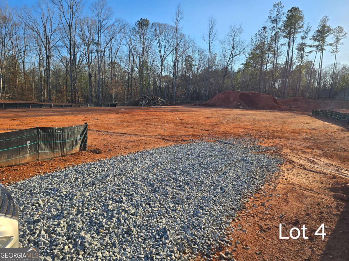 LOT 4 County Line RD