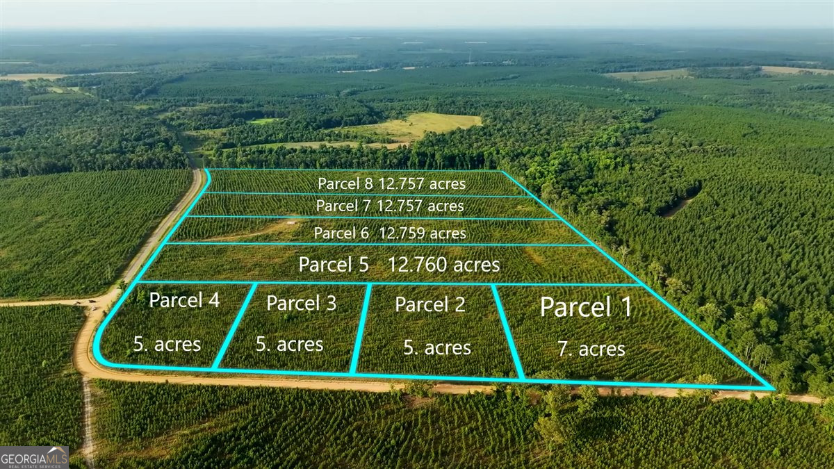 Beautiful unrestricted and affordable country homesites! Lots of deer and turkey. 5 acre lots for 39k up to 12+ acre lots for 89k. Buy one or more!