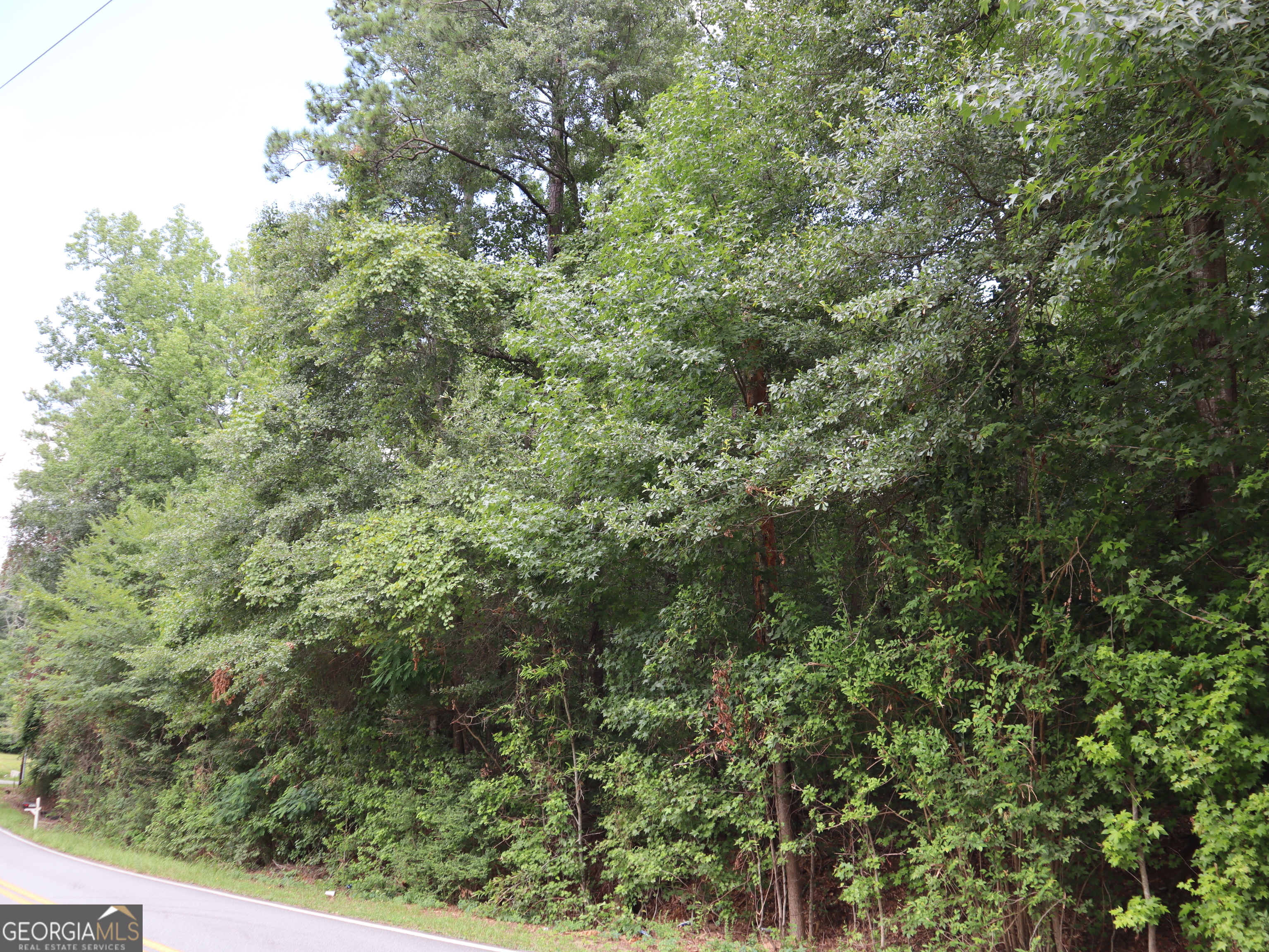 Looking for a .73 acre wooded lot near Macon and Warner Robins to build your dream home? Minutes from schools, grocery stores, drug stores and restaurants. This could be it! Bring your building plans and get started.