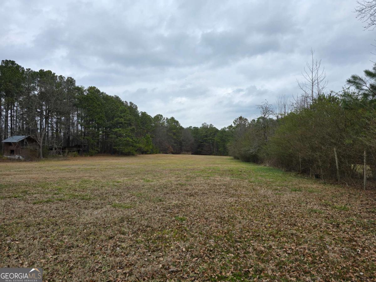 Calling for developers and builders, this listing is an assemblage of three separate adjoining parcels. First parcel (3016 LOGANVILLE HW), Second parcel (3022 LOGANVILLE HWY) and third parcel (3195 LOGANVILLE HWY). The total acreage of all 3 parcels added together is approximately 25.8+ acres. Strictly selling as one package. This property borders and backs up to the park and new homes. The value is in the land, Older Homes and other structures can be demolished for development. Very convenient to schools, shopping, dining, parks, and major highways. The seller will not subdivide or rezone the property, selling as it is. Lots of new constructions in this area. All national and local builders are building lots of communities in the area. The property also offers a unique opportunity for development or customization, with endless possibilities for a private residence or commercial use. Whether you envision a luxurious lakeside home, a rustic retreat, or a commercial venture such as a hotel or wedding venue 55 plus community or Assisted living etc. with proper rezoning permits from city and county. This property has the potential to be transformed into your dream destination. Wonderful opportunity in a prime and steadily growing area, only a few minutes from Grayson downtown. Discover a rare and highly coveted land opportunity in the heart of Loganville, 25.8 plus acres offers spectacular views, gentle topo, and pristine pastures for anyone looking to build a dream home, horse barn and other ventures. Flood zone all the way in the back of the property. See the Survey for details.