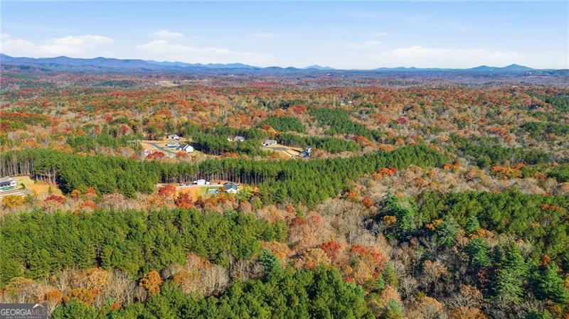 120 Twisted Pines XING