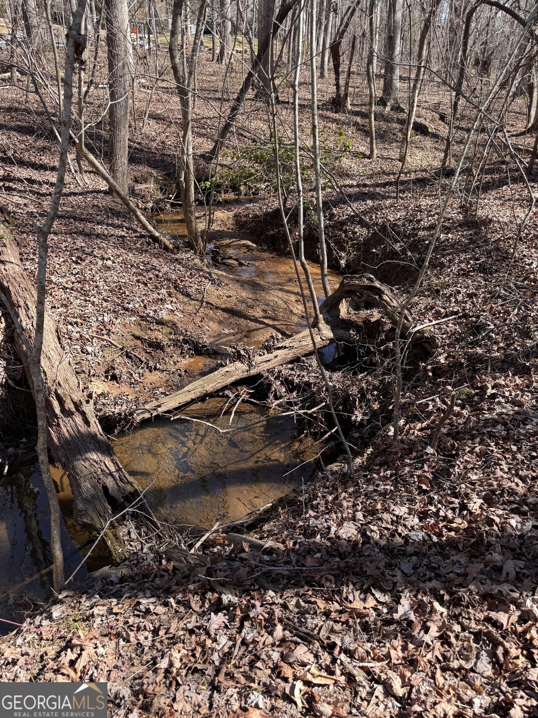 Mount Airy, Georgia 30563, United States, 3 Bedrooms Bedrooms, ,3 BathroomsBathrooms,Residential,Active,78174