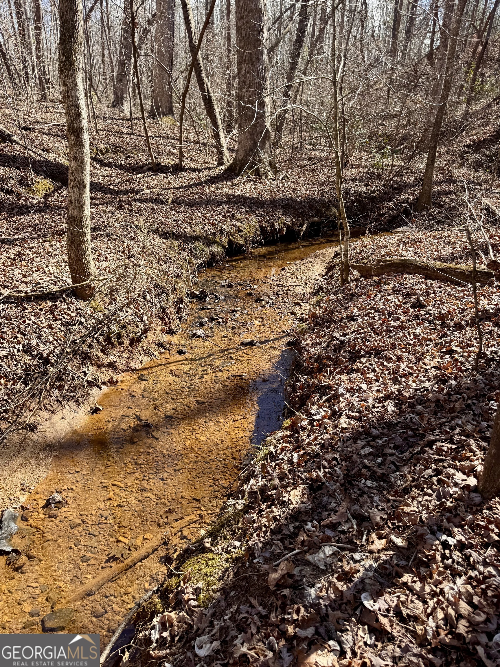 Mount Airy, Georgia 30563, United States, 3 Bedrooms Bedrooms, ,3 BathroomsBathrooms,Residential,Active,78174