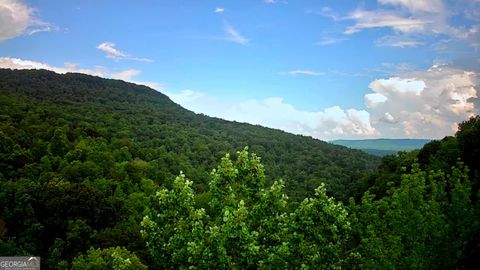 0 S Pittsburg Mountain RD South Pittsburg TN 37380