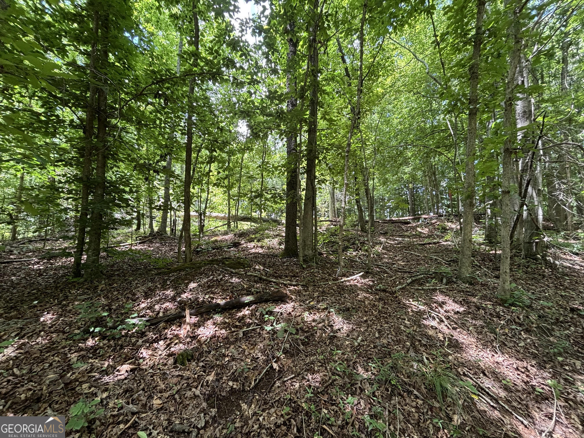 0 Crest View DR