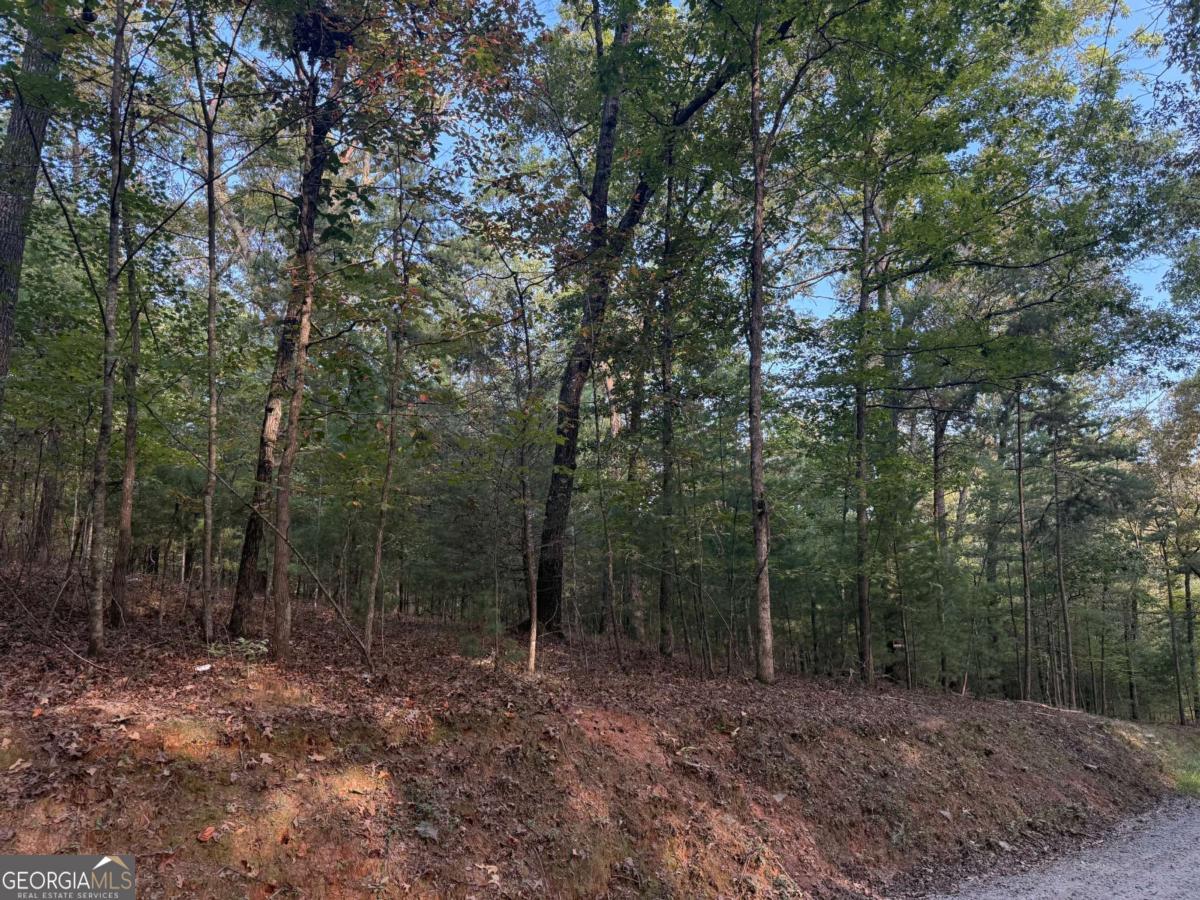 4 Acres of Unrestricted Wooded Land with Ample Road Frontage -- Discover the perfect blend of privacy and opportunity with this 4-acre wooded lot featuring generous road frontage. Nestled in a serene natural setting, this property offers endless possibilities-whether you're looking to build your dream home, place a cabin, bring in a manufactured home, or simply enjoy a private retreat. With no restrictions, you have the freedom to use the land as you wish. The mature trees provide natural beauty and seclusion, while the extensive road frontage ensures easy access and potential for multiple entry points. Conveniently located near town yet tucked away in a peaceful environment, this property is ideal for those seeking flexibility, privacy, and room to create.