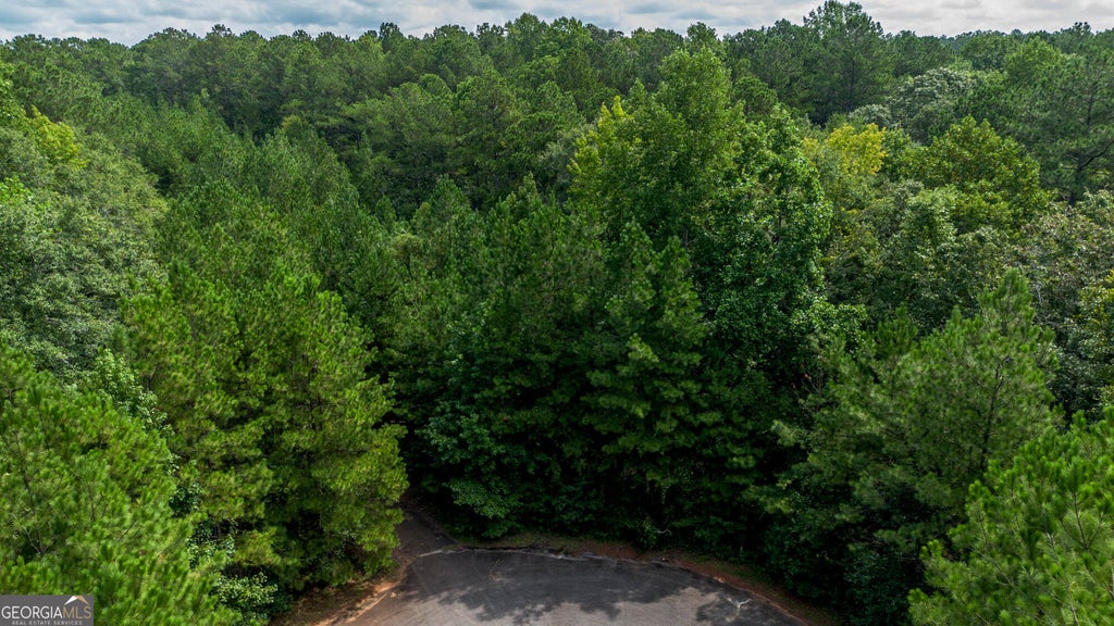 Photo of 315 Waddesdon Drive, Macon, GA 31220 (MLS # 10836578)