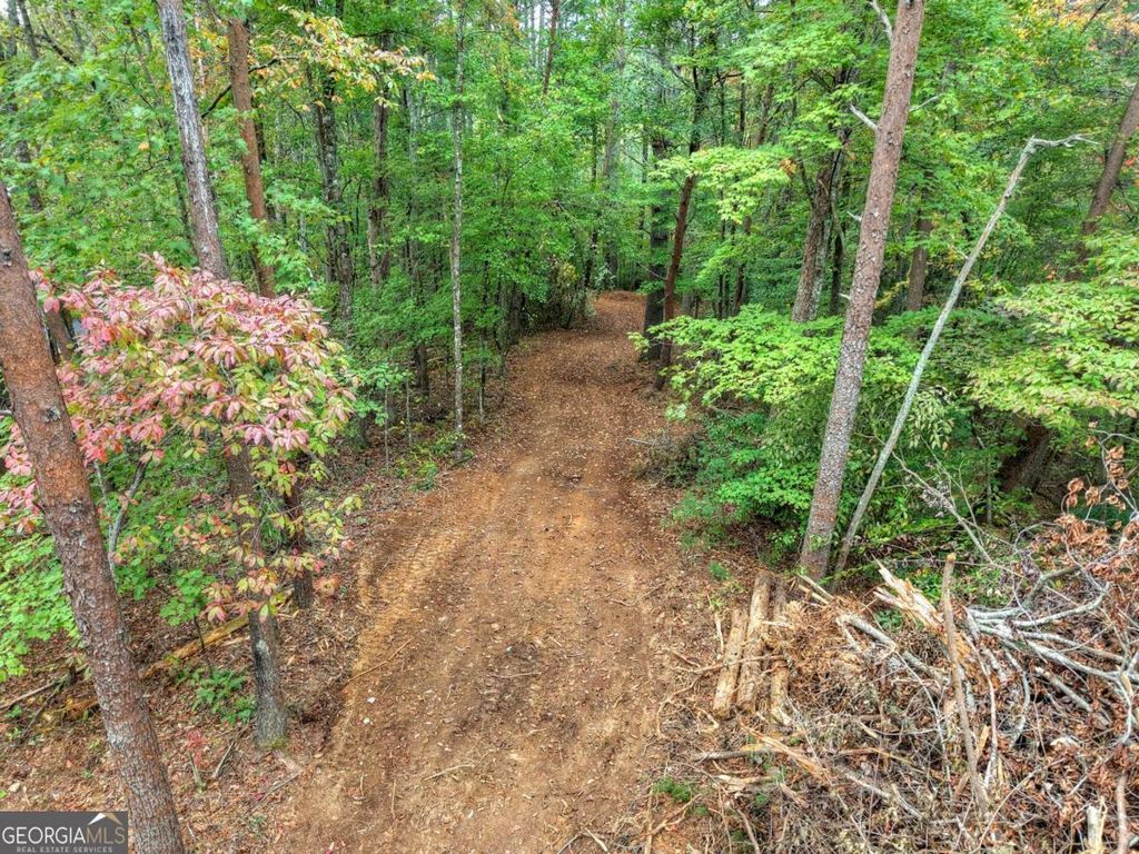 Photo of 432 Scenic Drive, Blue Ridge, GA 30513 (MLS # 10624737)