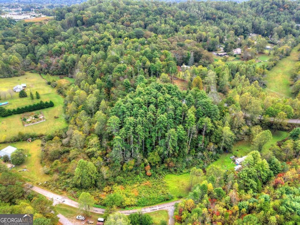 Photo of 432 Scenic Drive, Blue Ridge, GA 30513 (MLS # 10624737)