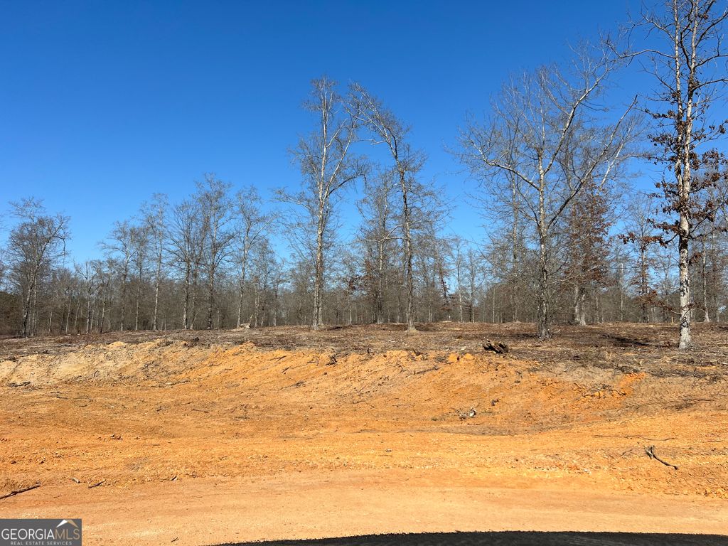 Photo of 0 Holly Ridge Lot 5, Dublin, GA 31021 (MLS # 10693642)