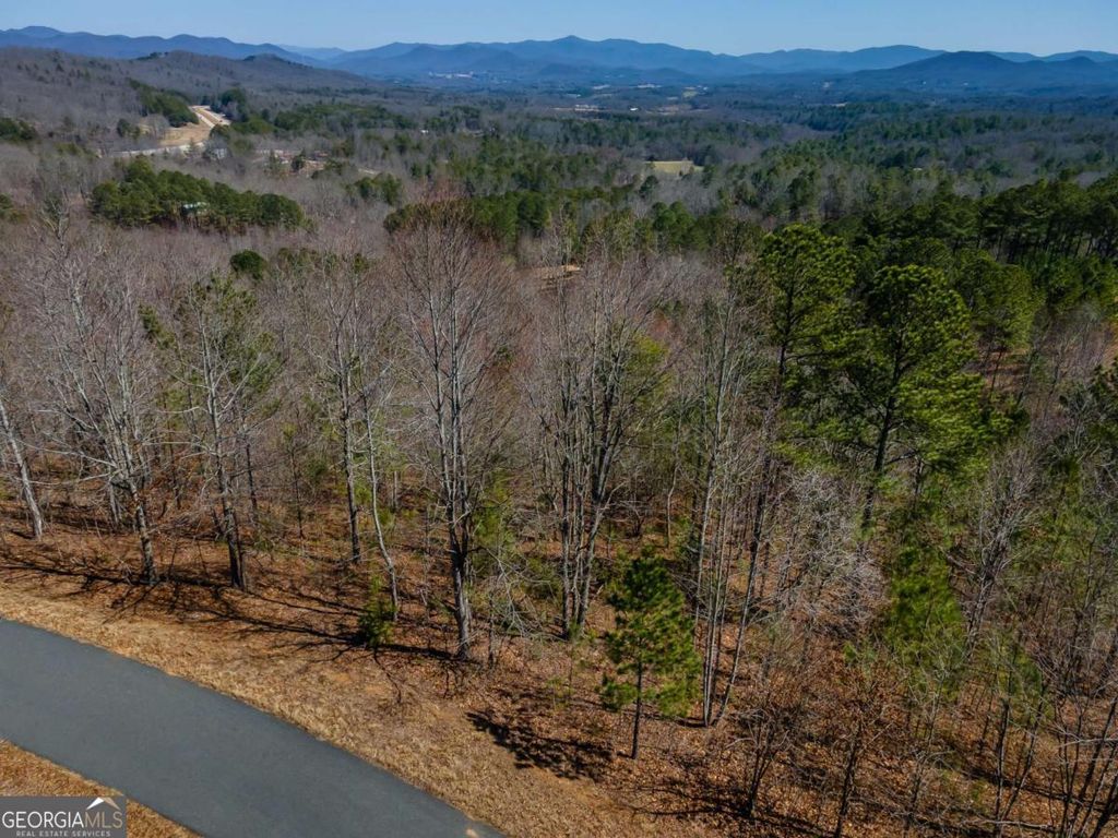 Photo of 38 The Hills At Queens Gap, Blairsville, GA 30512 (MLS # 10758511)