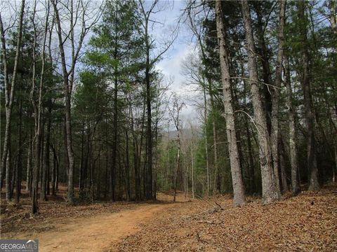 3 AC East New Hope RD Ellijay GA 30536