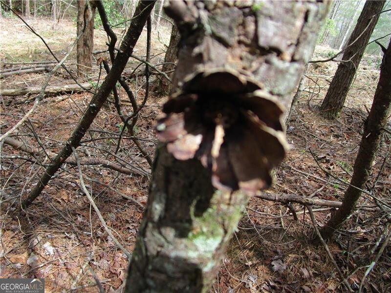 3 AC East New Hope RD