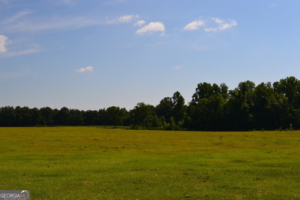 Photo of BISHOP Canoochee Road, Midville, GA 30441 (MLS # 10804723)