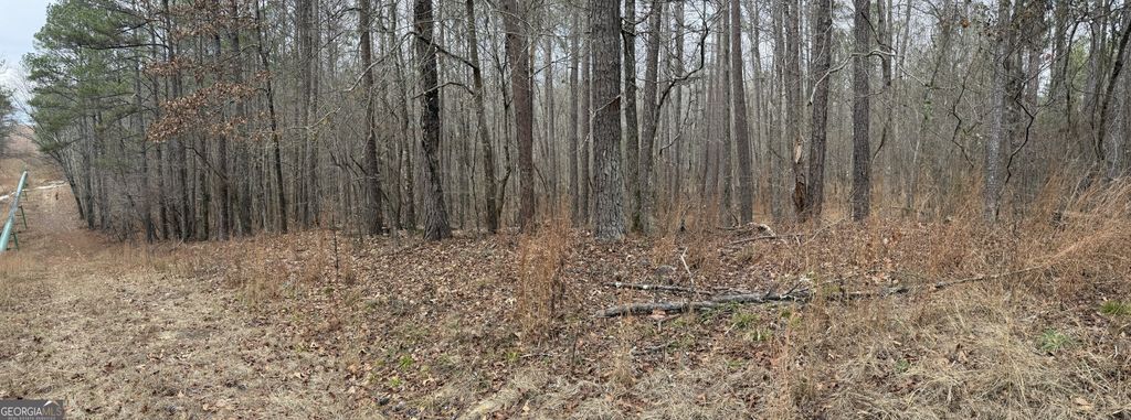 Photo of 0 Haines Road, Franklin, GA 30217 (MLS # 10679580)