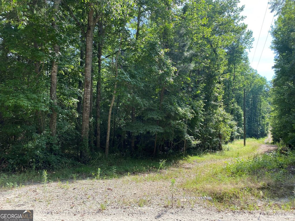Photo of 0 Haines Road, Franklin, GA 30217 (MLS # 10679580)