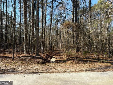 Photo of 0 Haines Road, Franklin, GA 30217 (MLS # 10679580)