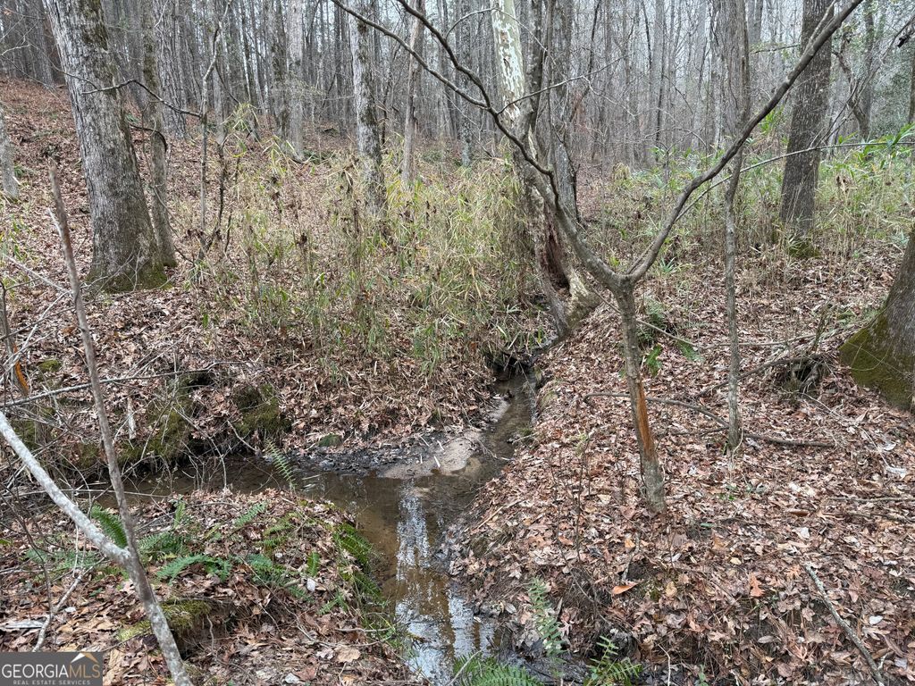 Photo of 0 Haines Road, Franklin, GA 30217 (MLS # 10679580)