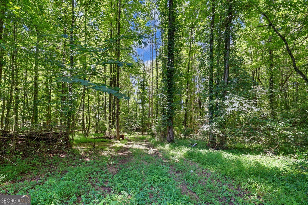 Photo of 422 Fair Valley Road, Demorest, GA 30535 (MLS # 10816908)