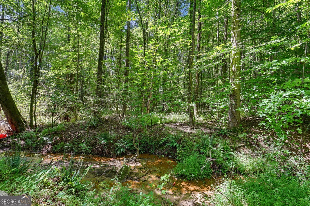 Photo of 422 Fair Valley Road, Demorest, GA 30535 (MLS # 10816908)