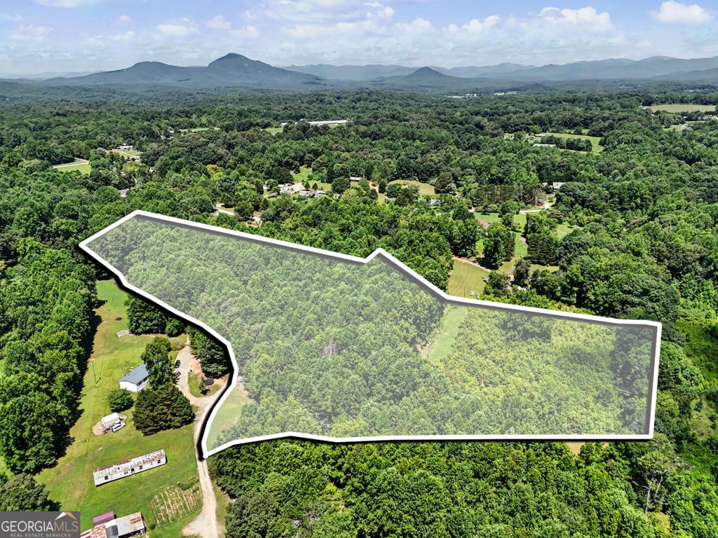 Photo of 422 Fair Valley Road, Demorest, GA 30535 (MLS # 10816908)