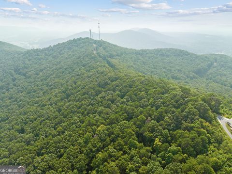 LOT 4 Lake View DR Cleveland GA 30528