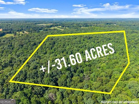 Photo of 0 Prospect Road, Carnesville, GA 30521 (MLS # 10810532)