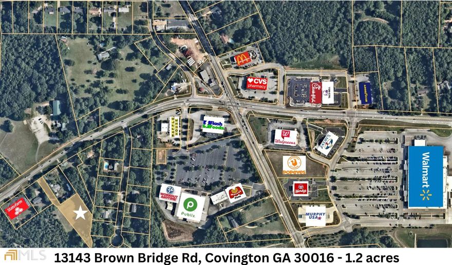 Potential Commercial. 1.2 acre. Walking distance to shopping and restaurants. Minutes to Publix, Wal Mart, CVS, Gas stations, Car wash and more. This property adjoins the property at 13191 Brown Bridge Rd. Which is also for sale as Potential Commercial. MLS 20071250
