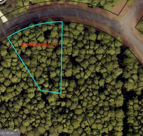 Photo of 203 Mocama Court, St. Marys, GA 31558 (MLS # 10562254)