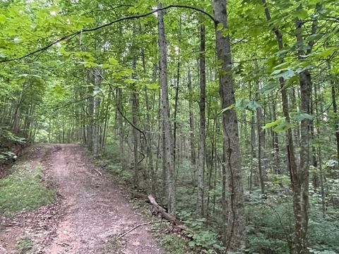 Photo of 1231 Crown Court, Ranger, GA 30734 (MLS # 10182389)