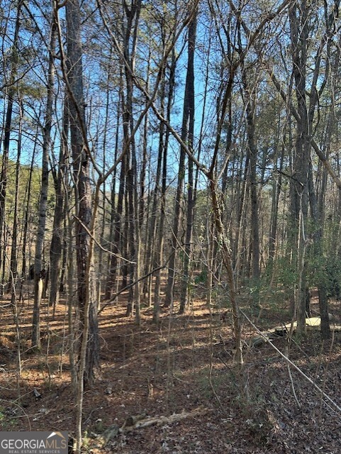 295 Handley CT