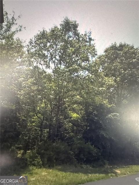 Photo of 664 N Holcomb Drive, Martin, GA 30557 (MLS # 10718576)