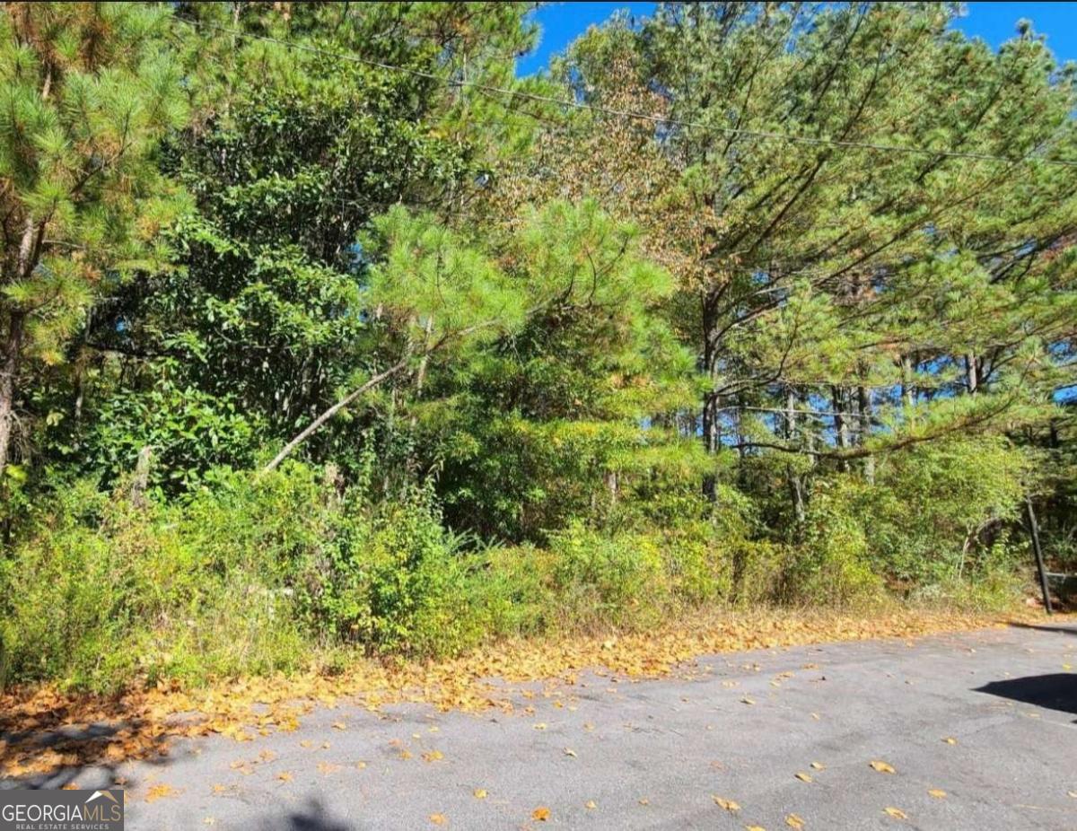 Options are not few on this residential lot in the established Sherwood Forest Community. This lot is served by the Model Elementary, Model Middle and Model High School systems. It is convenient to the desired lifestyle Rome provides such as the historic Berry College, the ECO Greenway, the Etowah Park and River Trail, the Rome International Speedway and much more. Rome can be your second home getaway as it is about 1.30 hours from Atlanta. No HOA. All utilities are available (the power pole is already in place at the corner of the lot) - all that is needed is the blueprint of your dream home and your favorite home builder - call to discuss how to acquire this land today!