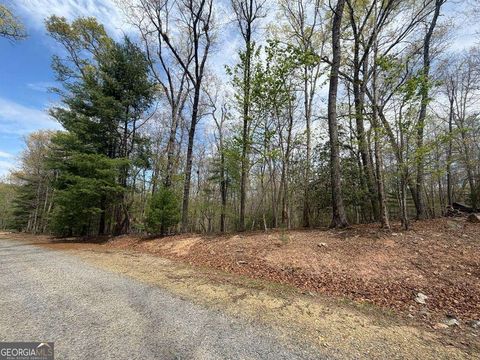 Photo of 2 Amber Way, Morganton, GA 30560 (MLS # 10739483)