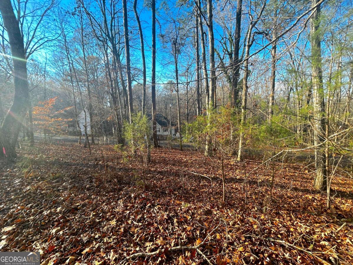 3339 Cherokee CT