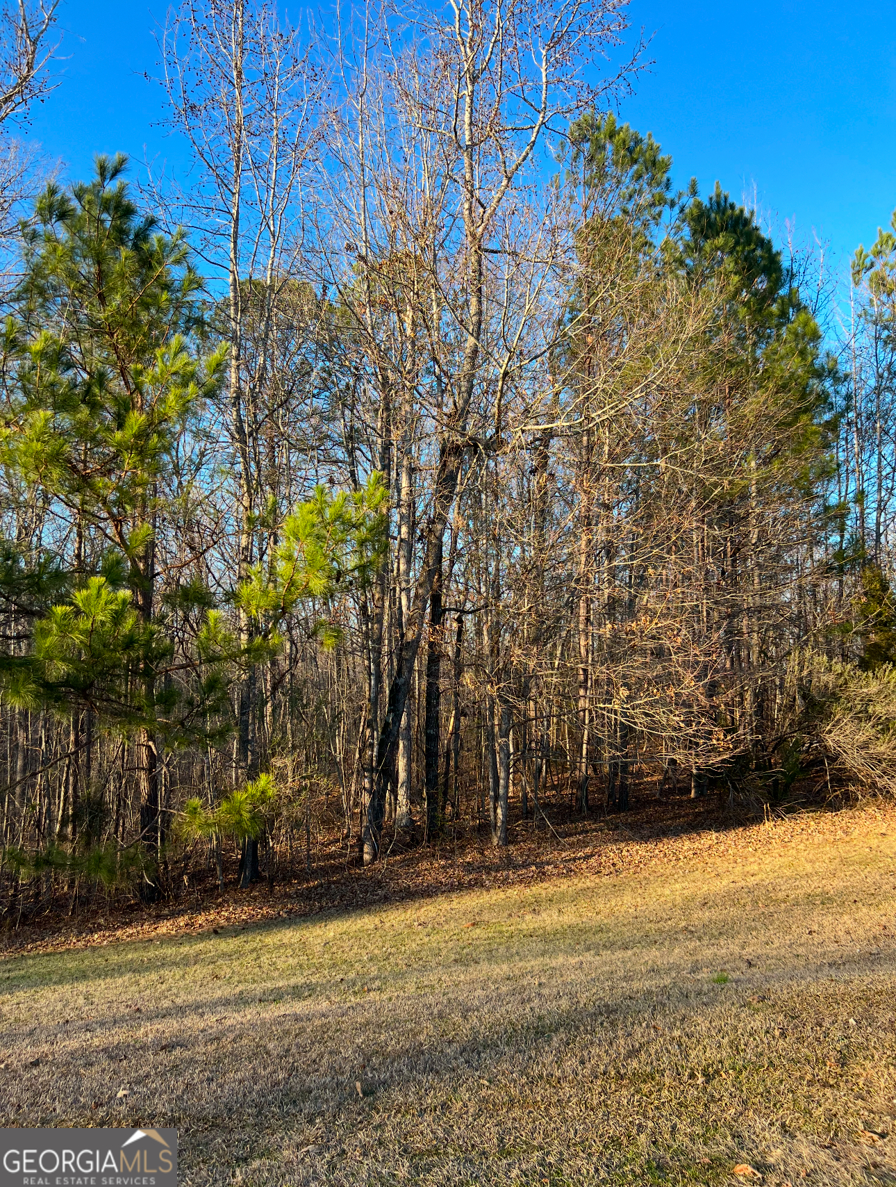 River Forest building lot. 2.46 Acres. Private lot. Conveniently located near the front entrance. River Forest is a gated community, offering a championship golf course, full service clubhouse, parks, walking trails, fitness, swim and tennis facilities.
