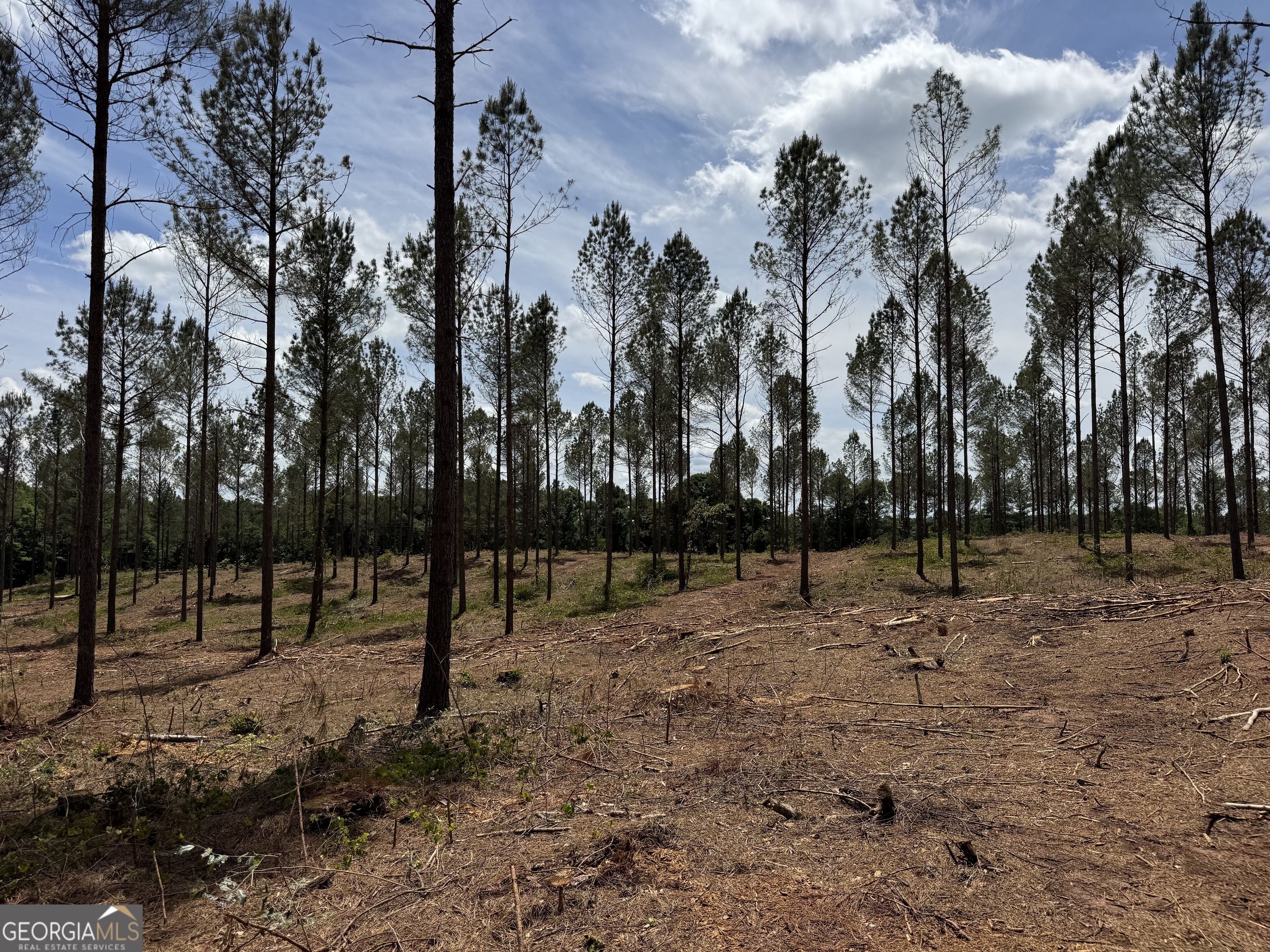 Photo 1 of 27 — 0 Cromer RD, Dewy Rose, GA 30634