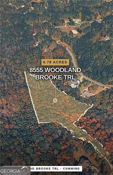 Photo of 8555 Woodland Brooke Trail, Cumming, GA 30028 (MLS # 10882026)
