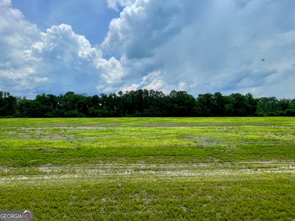 Photo of 84 Weller's Way, Brooklet, GA 30415 (MLS # 10804673)