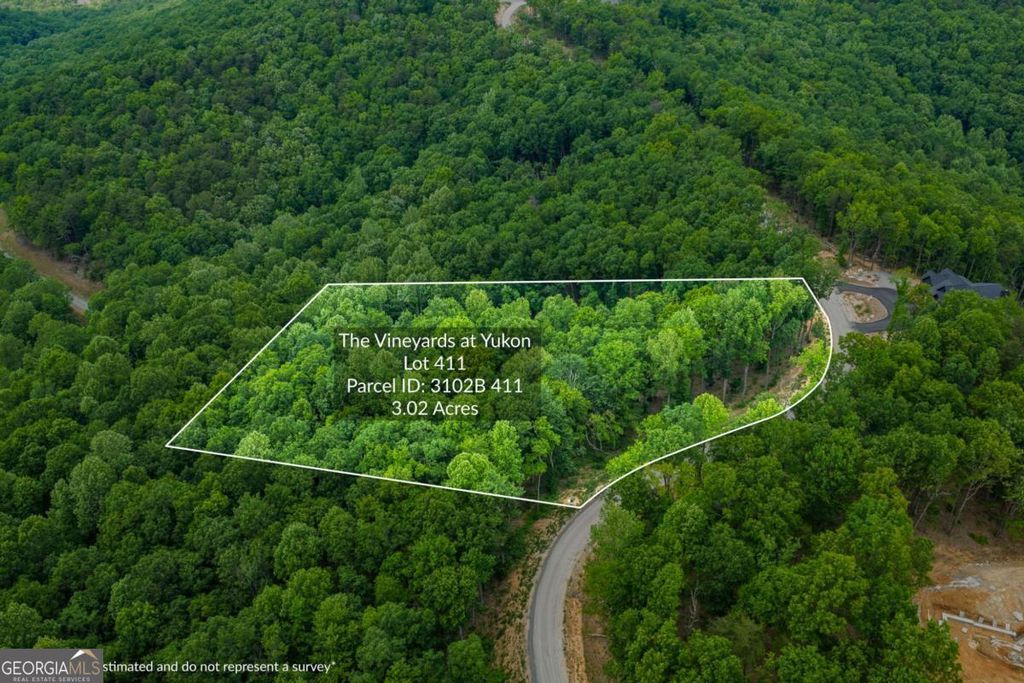 Photo of 411 Calloway Mountain Road, Talking Rock, GA 30175 (MLS # 10766741)