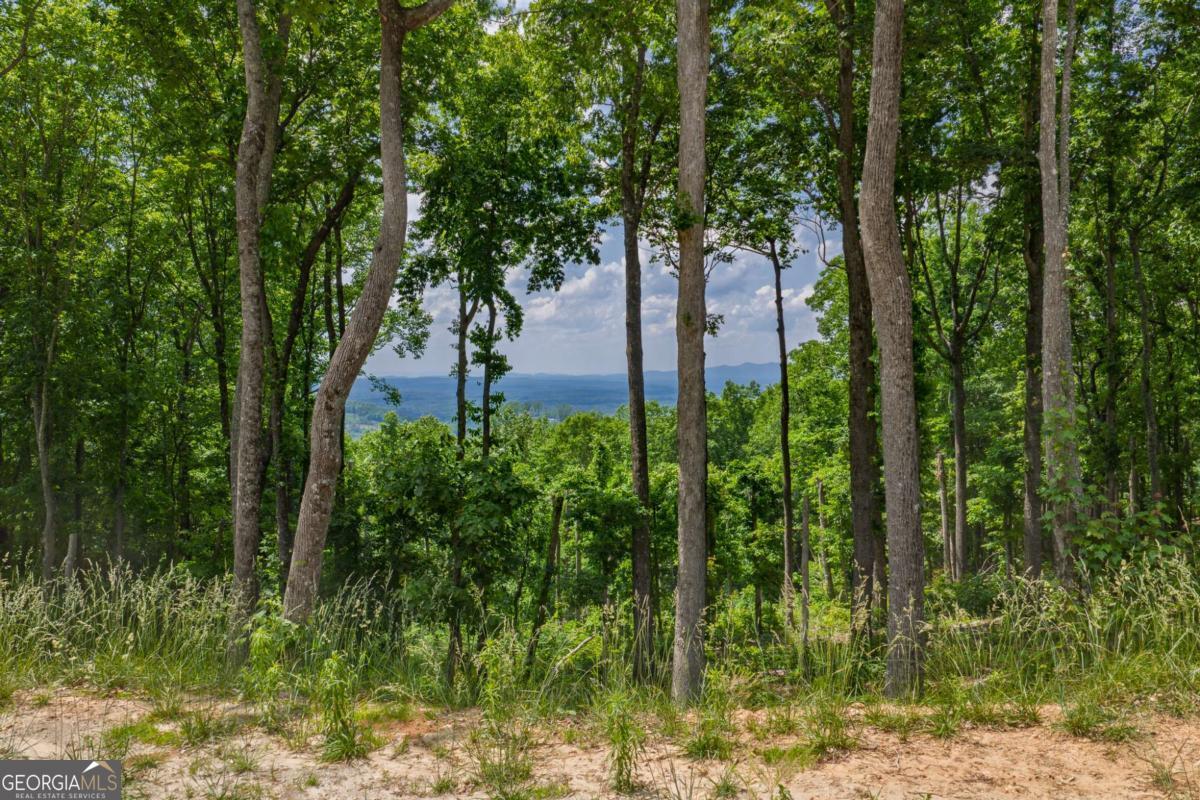 LOT 411 Calloway Mountain RD
