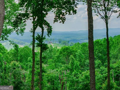 LOT 411 Calloway Mountain RD Talking Rock GA 30175