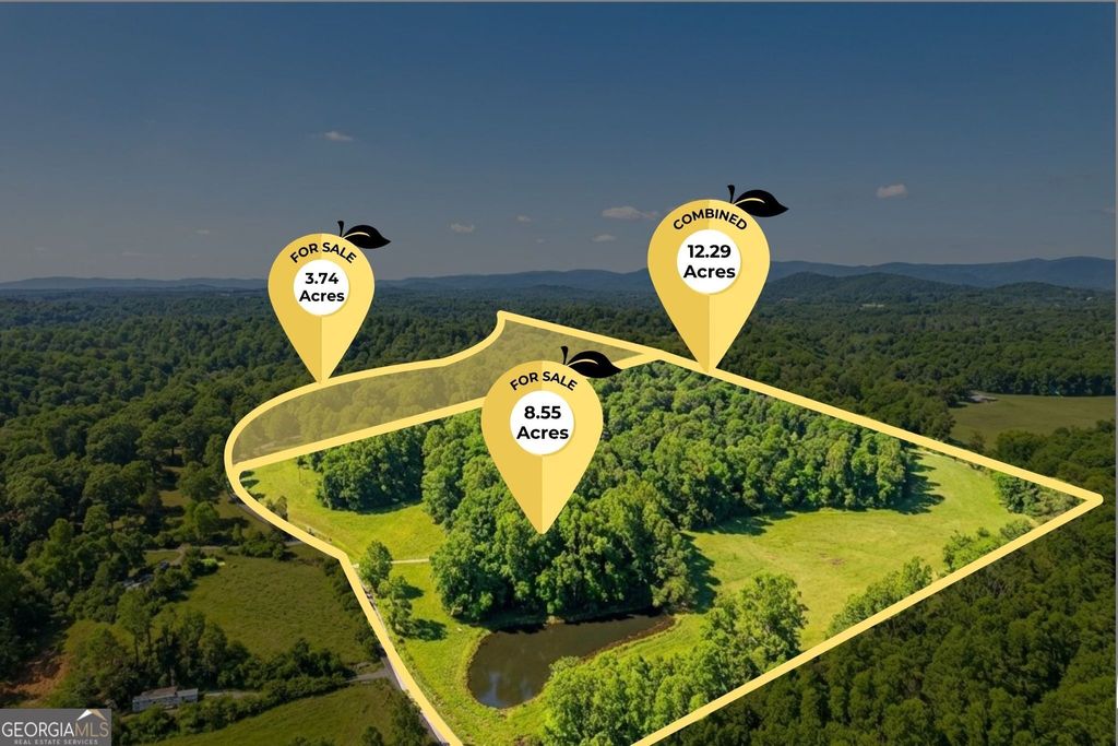 Photo of 0 Horton Road, Dahlonega, GA 30533 (MLS # 10732191)