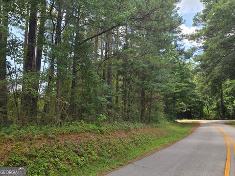 Photo of 0 Wehunt Road, Covington, GA 30016 (MLS # 10808994)